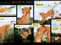 TLK3_Shadows1Pg5_by_Simbamarasa.jpg
